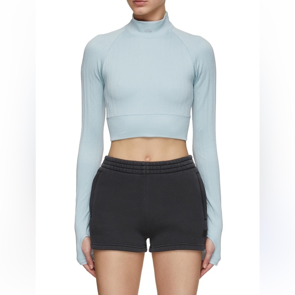 Alo Seamless Cable Knit Long Sleeve Top S